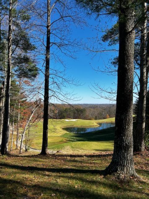 Sugar Bear Cabin With Boat Parking 5 Mins To State Park & Golf Burkesville Exterior foto